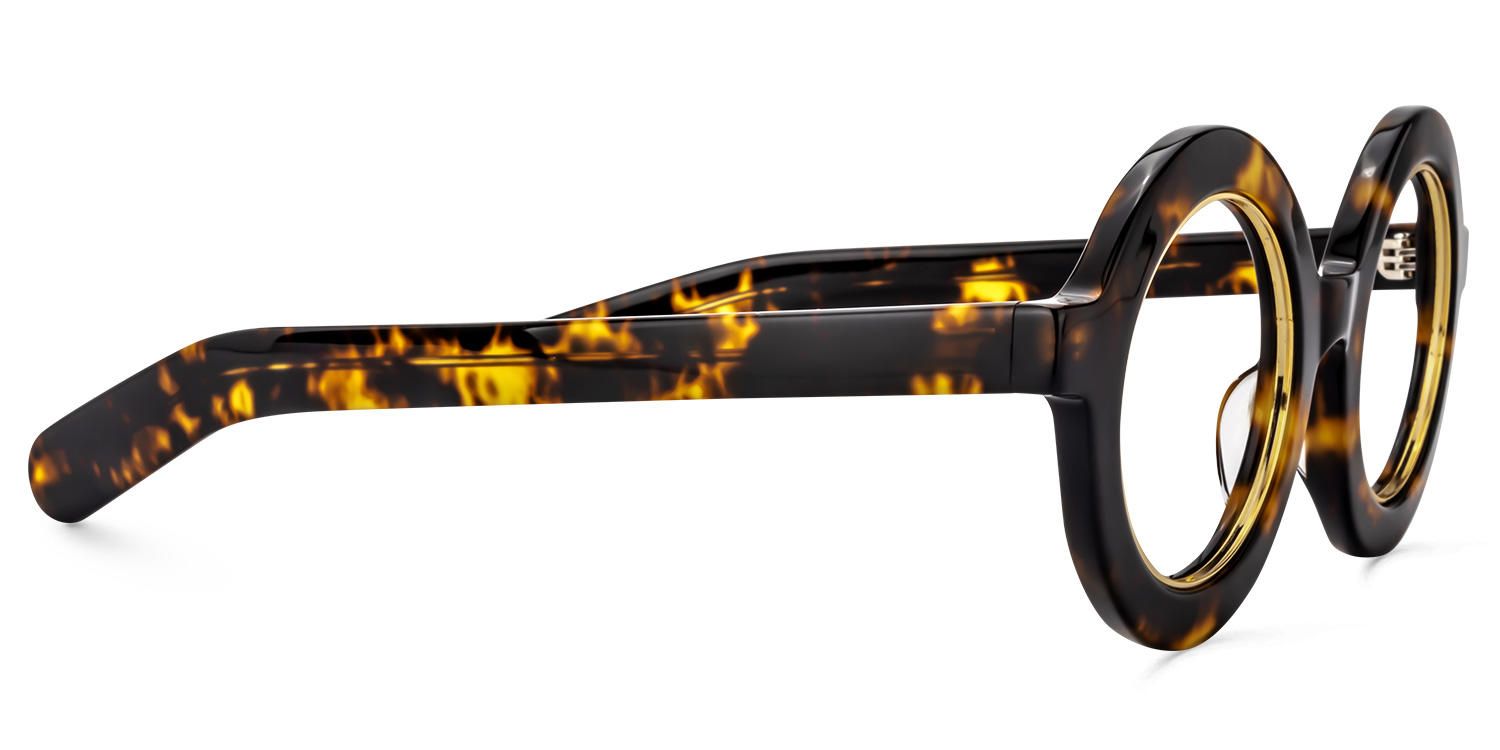 Almon - Round Gold/Tortoise Eyeglasses | Vooglam 4