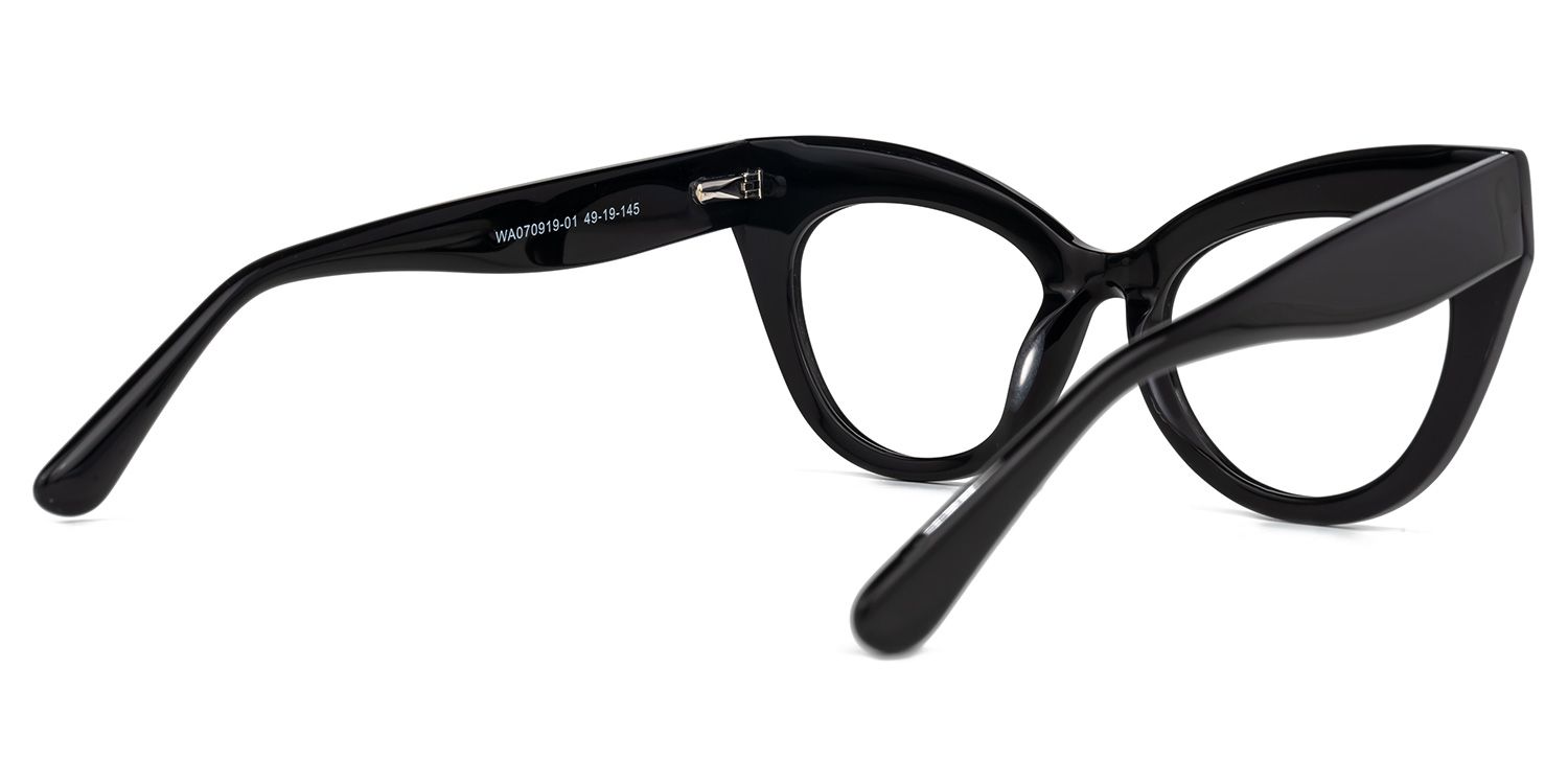 Mancilla - Cat Eye Black Eyeglasses product detail 3