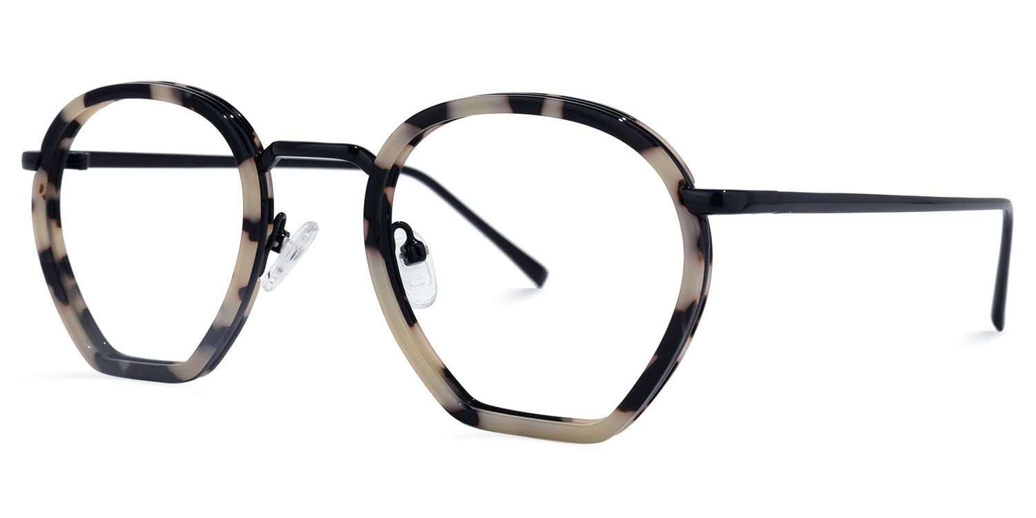Geometric Tortoise Eyeglasses | Vooglam.com Front View