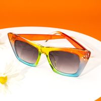 Rectangle Multicolor Sunglasses | Vooglam.com On Model 1