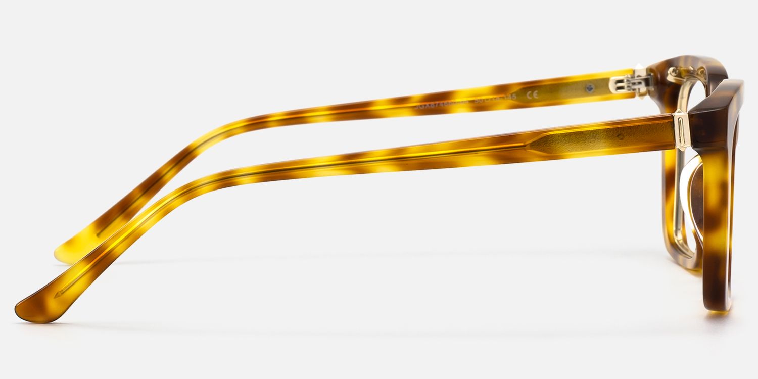 Chaparral - Desert Punk Rectangle Tortoise Glasses by Vooglam - Side View
