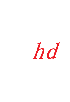 fgdsgdsg - Front View